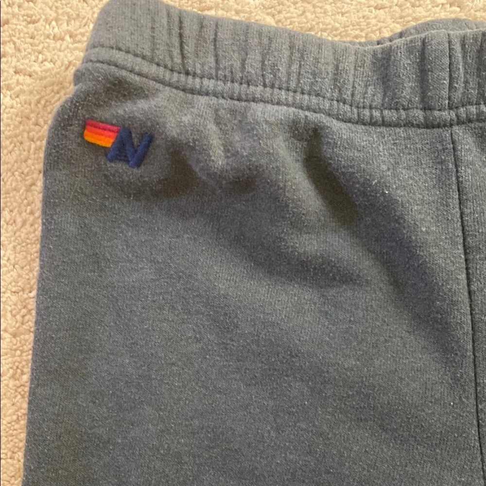 Aviator Nation Joggers - Picture 2 of 4